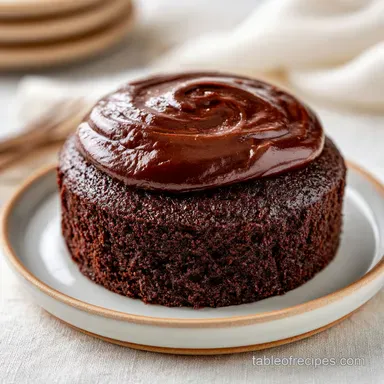 Mississippi Mud Cake in 45 Minutes